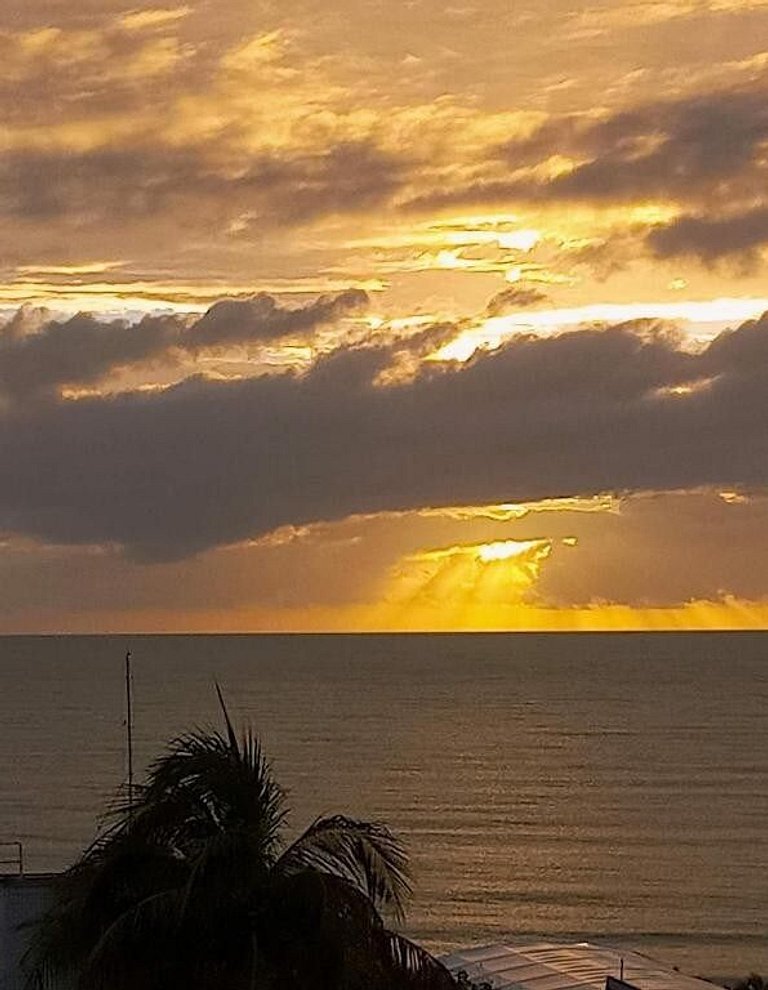 Marssalis Praia JR 309