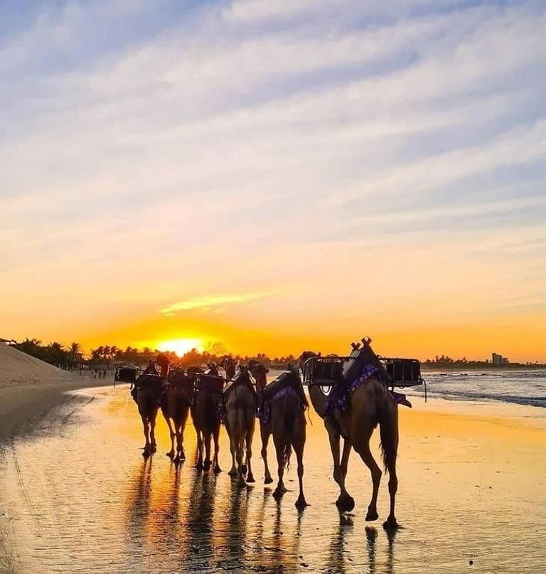 Marssalis Praia JR 309